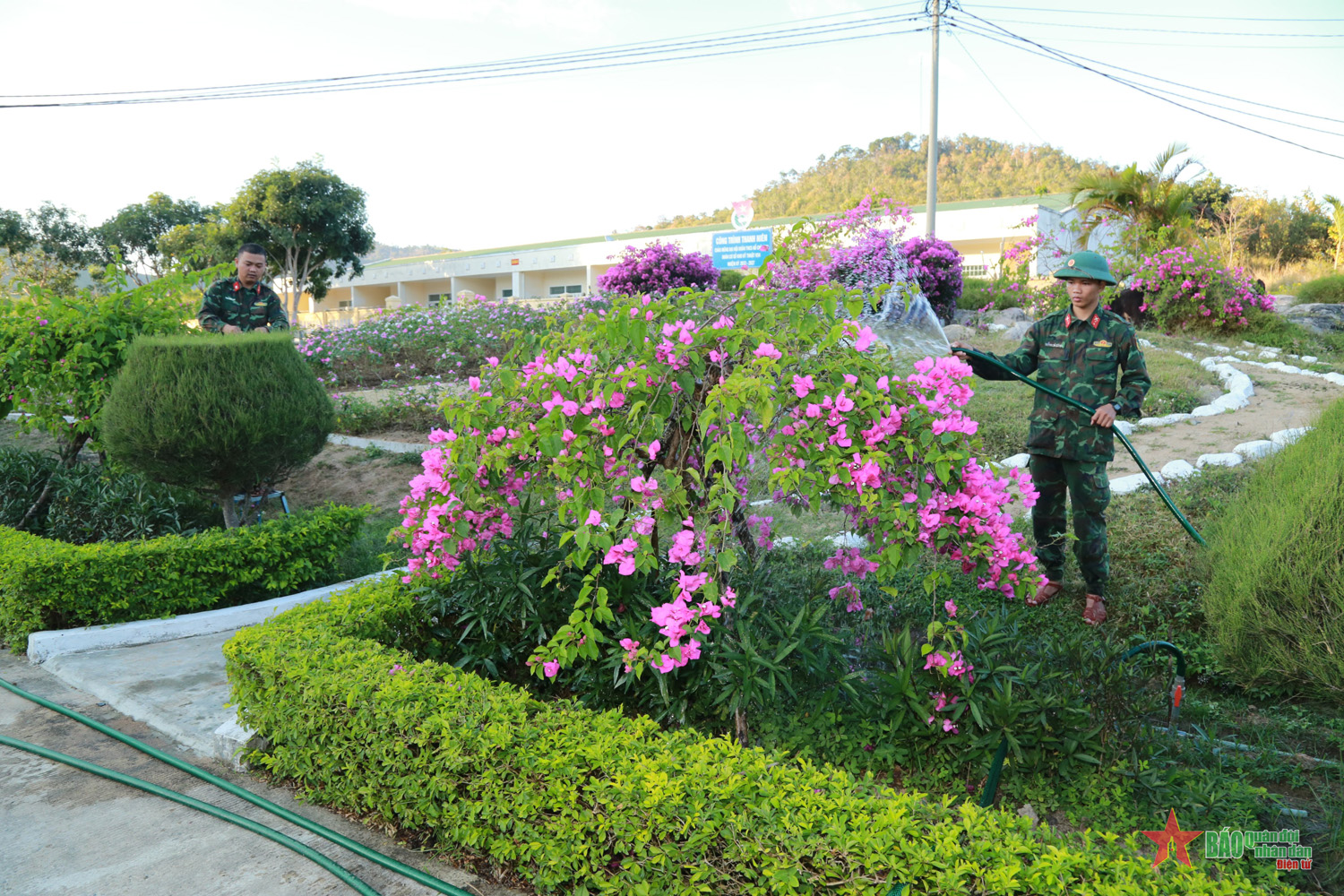 Sắc xanh ở Kho K54

